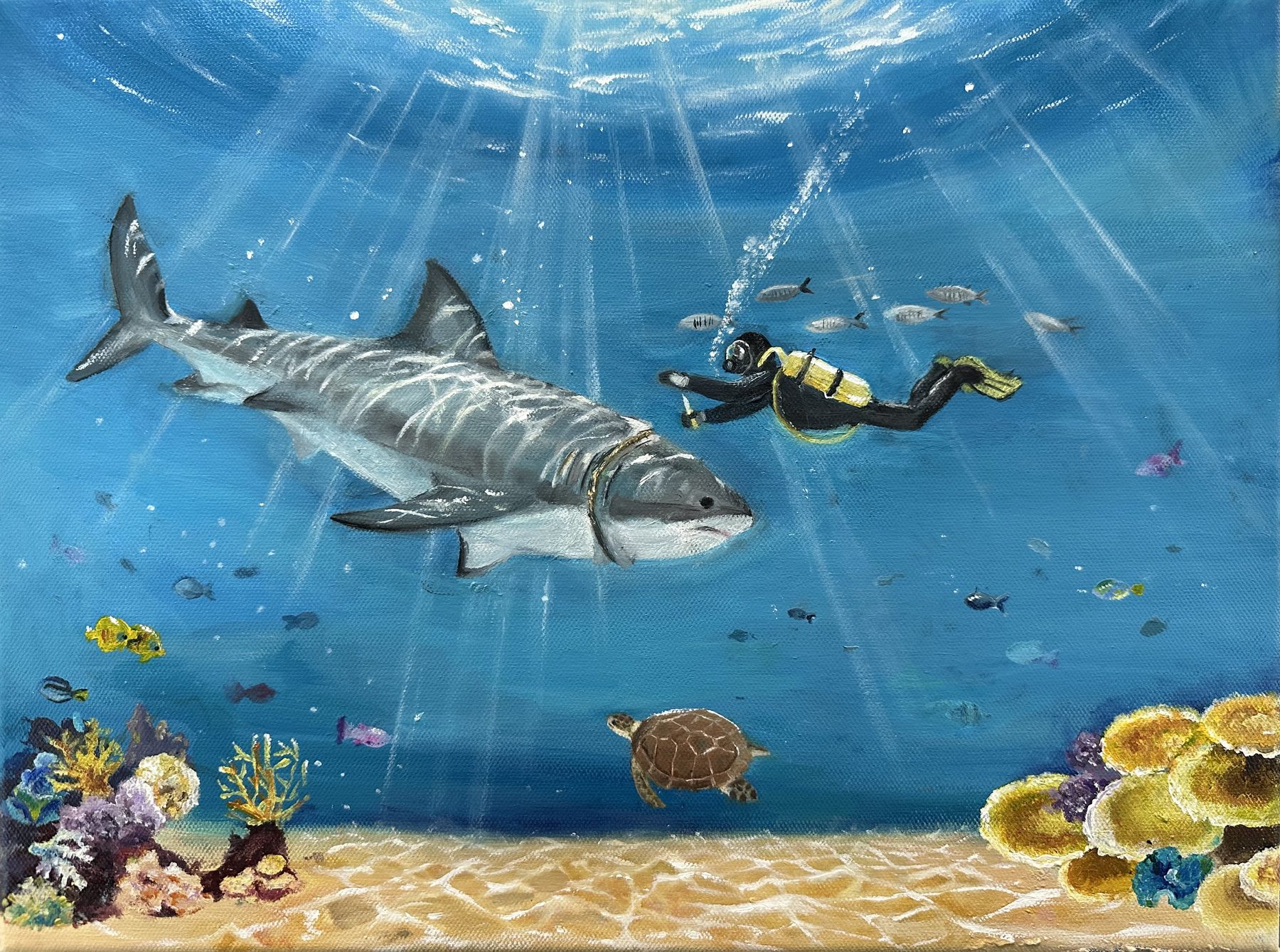Rescue, Respect, Repeat — painting of a shark, a scuba diver, and a sea turtle over a coral reef by Shanni Li