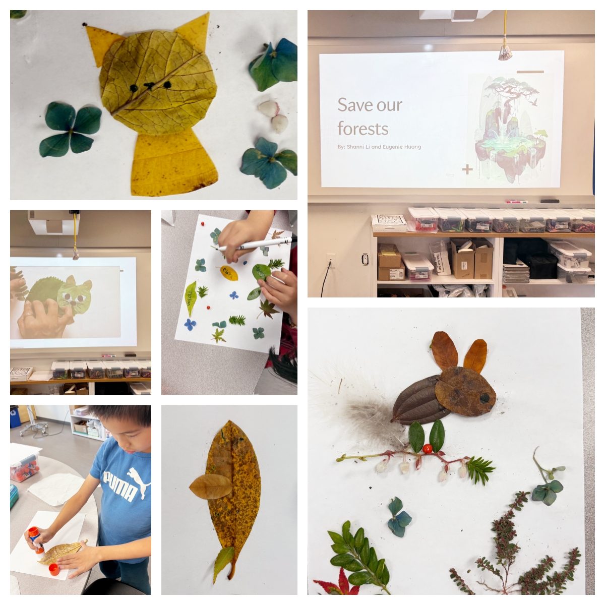 Art4Earth Save Our Forests session — animals made from leaves